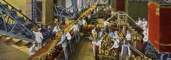 Banana loading in New Orleans